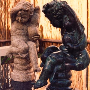 Niño con delfín
