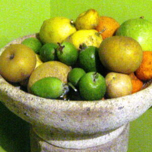 Frutero piedra granito